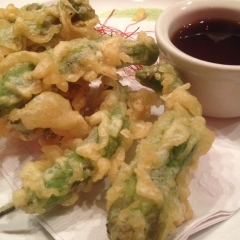 Shishito Tempura